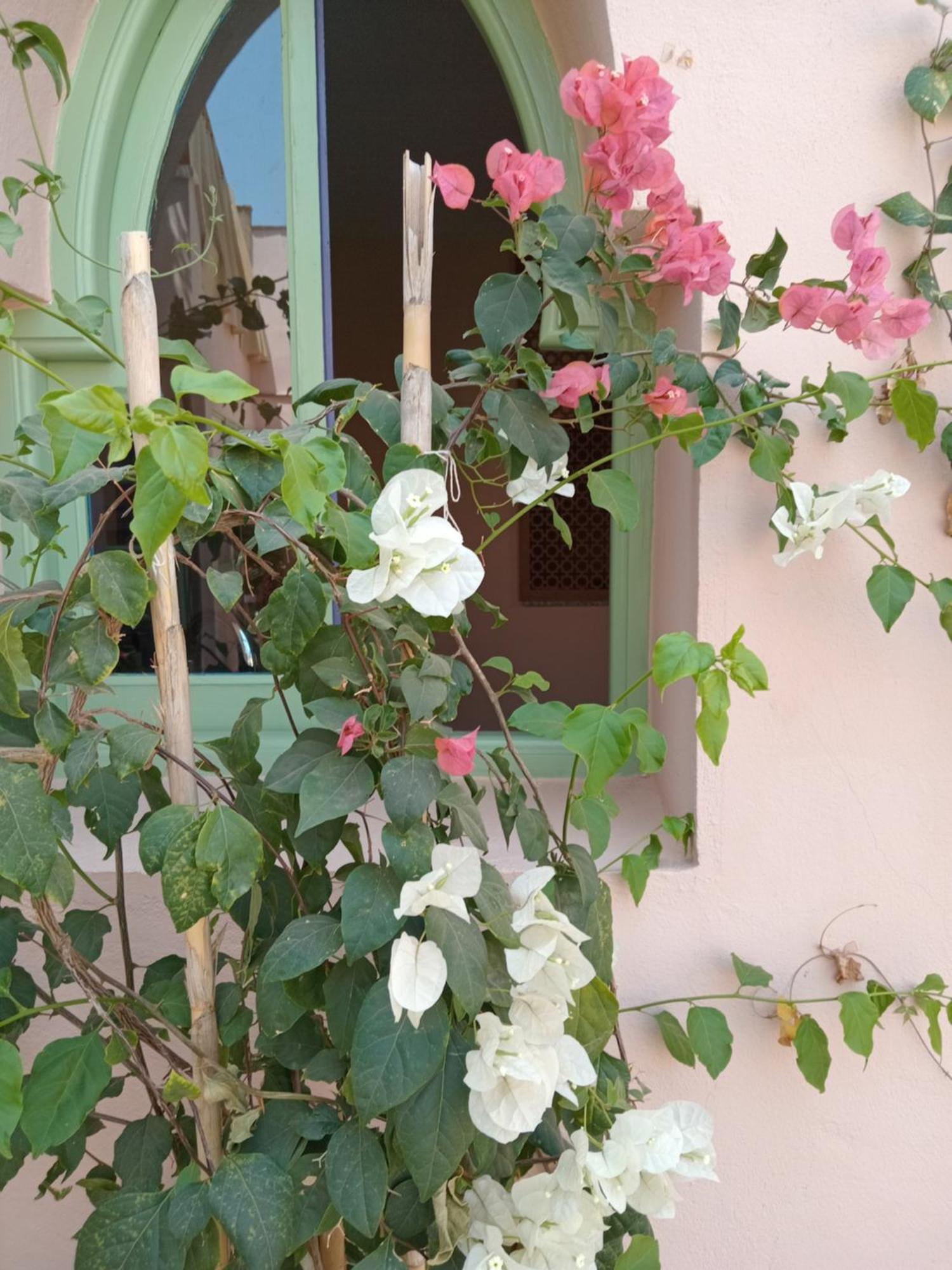 Riad Tania Mozaik Тарудант Екстериор снимка